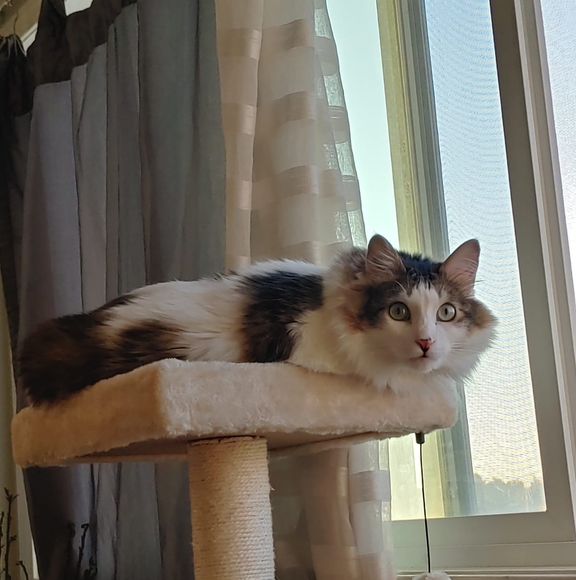 Meet the Posher Other - Meet your Posher, Dany